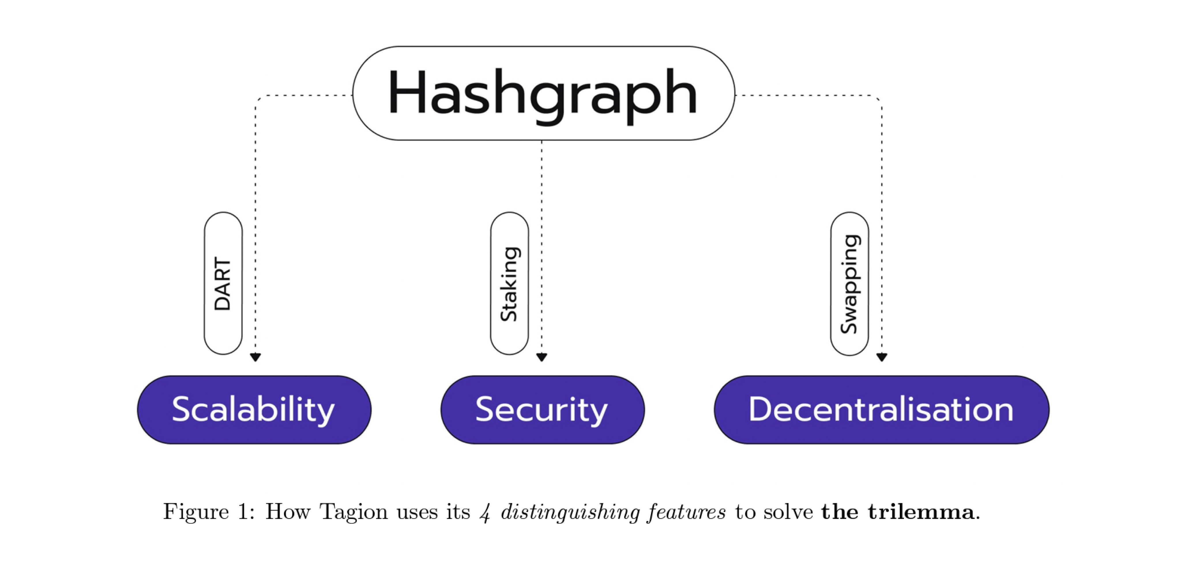 hashgraph scheme